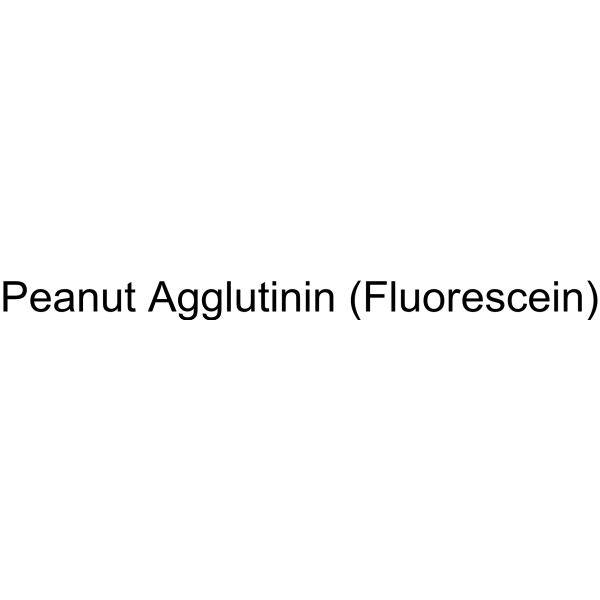 Peanut Agglutinin (Fluorescein)